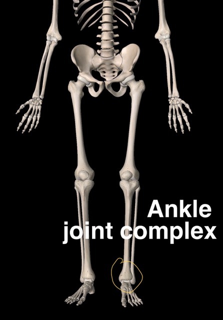 Ankle joint pain photo