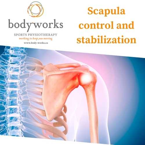 Scapula control and stabilization