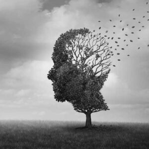 Alzheimer’s Disease: Understanding, Managing, and Coping with Memory Loss